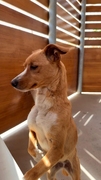KIARA (LUA) Imagen 2